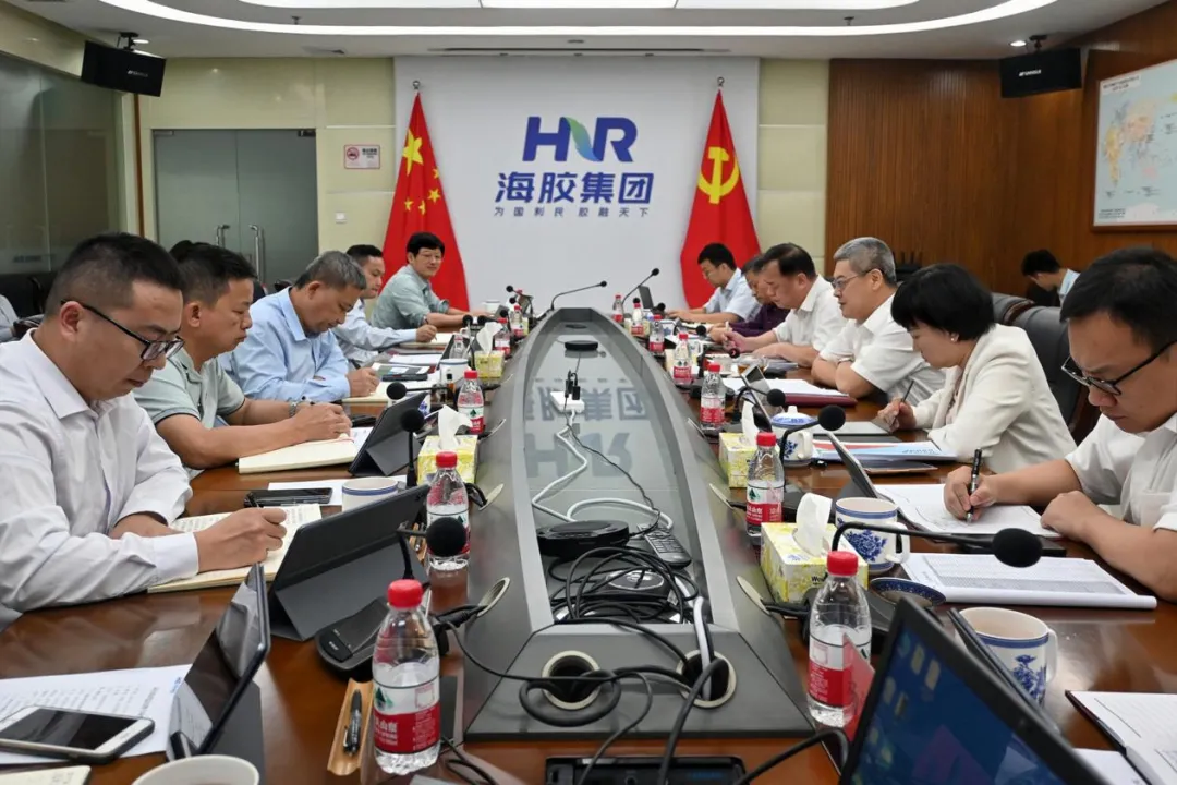 艾轶伦为海南橡胶理思路、定任务